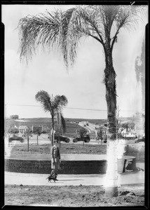 Leimert Park, Los Angeles, CA, 1928