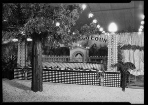 San Diego County booth, California land show, Southern California, 1930