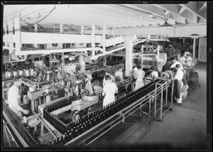 Interior of plant, Southern California, 1933