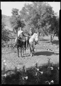 Planting Easter Lillies, Southern California, 1928