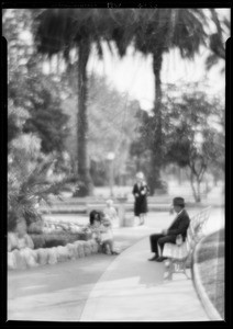 View in St. James Park, Los Angeles, CA, 1928