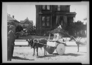 Old photo of oxcart, Southern California, 1935