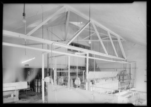 Pasteurizing rooms, Southern California, 1934