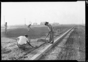 Shots for Herald layout, Montebello, CA, 1927