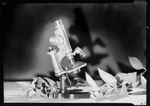 Microscopes and orange sprig, Southern California, 1932