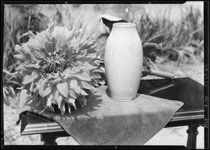 Gardens at 7218 Hillside Avenue, Lovell Swisher Jr., Los Angeles, CA, 1928