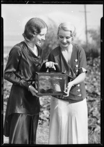 Goldfish at Schneidan's on Valley Boulevard, Southern California, 1931