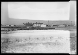 Sunshine Acres, shots for Herald, Southern California, 1927