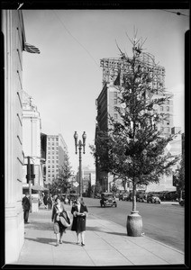 Christmas trees on Broadway, Los Angeles, CA, 1930