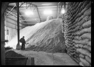 Interiors of warehouse, Southern California, 1933