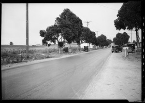 Case #L 40036, Pacific Tile & Marble Co., Southern California, 1926