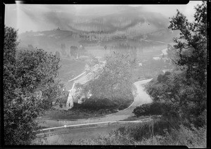 Shots among oak trees over Cahuenga Pass, 3305 Cahuenga Avenue, Los Angeles, CA, 1927