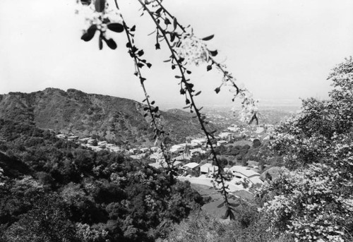 View from Mulholland Drive