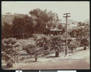 Exterior view of the Cawston Ostrich Farm, ca.1900