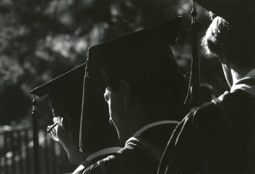 Rear view of three graduates seated