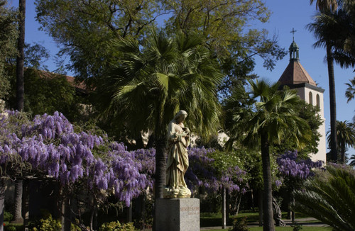 Wisteria, Mission Gardens