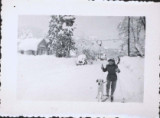 Boy on skiis with dog