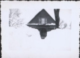 Cabin in Snow