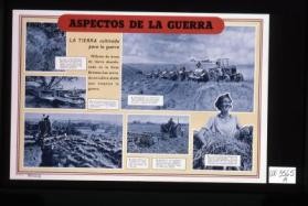 Aspectos de la guerra. La tierra cultivada para la guerra