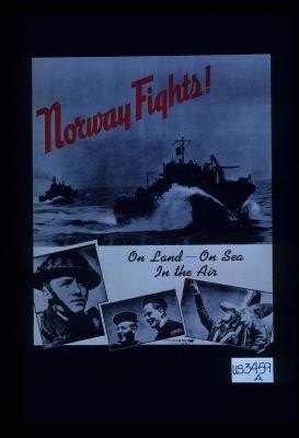 Norway fights! On land - on sea in the air