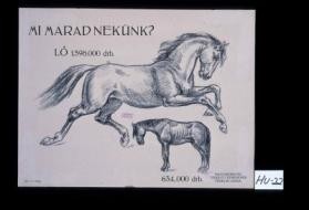 Mi marad nekunk?: Lo