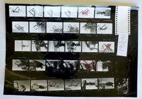 Overseas Weekly Contact Sheet 14341