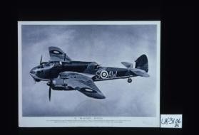 Es un avion reconocimiento, de que lleva bombas y torpedos