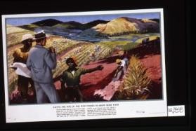 Saving the soil of the West Indies to grow more food