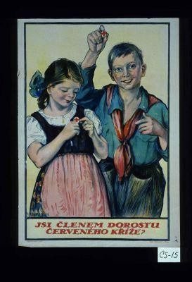 Jsi clenem dorostu cerveneho krize?