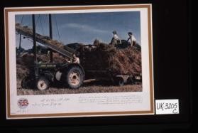 Land girls safeguard Britain's food production ... [in Arabic]