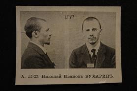 Bukharin, Nikolai Ivanovich