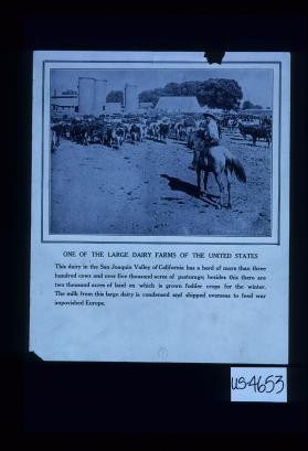 One of the large dairy farms of the United States. This dairy in the San Joaquin Valley of California has a herd of more than three hundred cows and over five thousand acres of pasturage; besides this there are two thousand acres of land on which is grown fodder crops for the winter