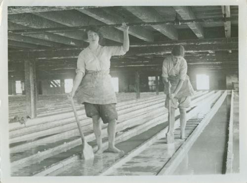 Photograph of female glucose workers in Lancasire Factory during World War I