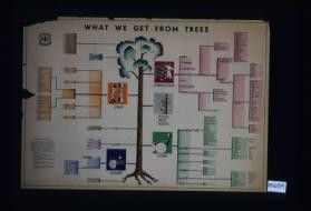 What we get from trees ... To keep the trees growing. Here in the United States we are cutting trees faster than new ones are growing for the future. And becuase science is showing us how to use wood better in new ways we are likely to want more trees in the future than we use today. In fact we must double the annual growth of usable wood. This can't be done easily or quickly. It will require decades of good forestry. So we must take steps now