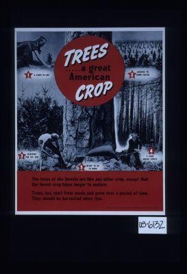 Trees . . . a great American crop. The trees of the forests are like any other crop, except that the forest crop takes longer to mature