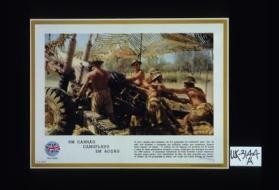 Un canhao camuflado em accao