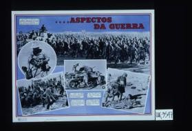 Aspectos da guerra