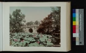Photograph of Spectacles Bridge
