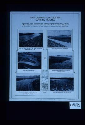 Strip cropping - an erosion control practice