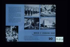 Americans of Czechoslovak descent