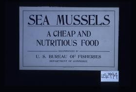 Sea mussels, a cheap and nutritious food, recommended by U.S. Bureau of Fisheries, Department of Commerce