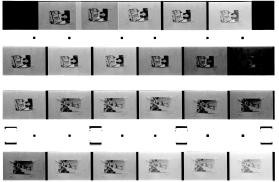 Overseas Weekly Contact Sheet 16084