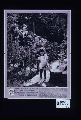 Perto de cinco milhoes de "jardins particulares" Britanicos, teem alimentos semeados derrotando assim os submarinos