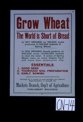 Grow wheat. The world is short of bread