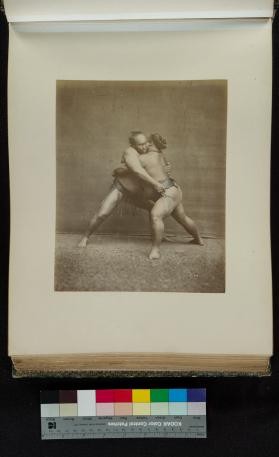 Portrait of Sumo wrestlers