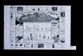Monitorul Forestier. Revista bi-lunara. Bucuresti. Tablou comparativ al suprafetelor impadurite ... 1919-1923