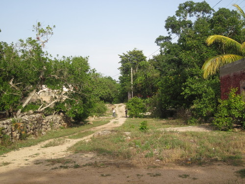 Temozon Men on Dirt Roads Trough the Trees