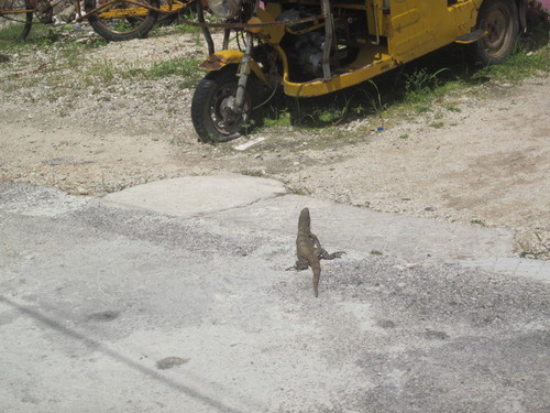 Ignana near old piece machinery or vehicle