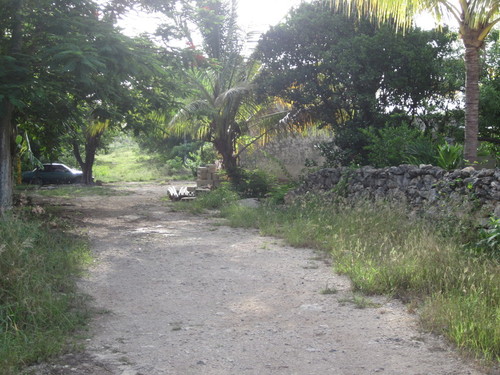 Temozon Dirt Road and Stone Walls