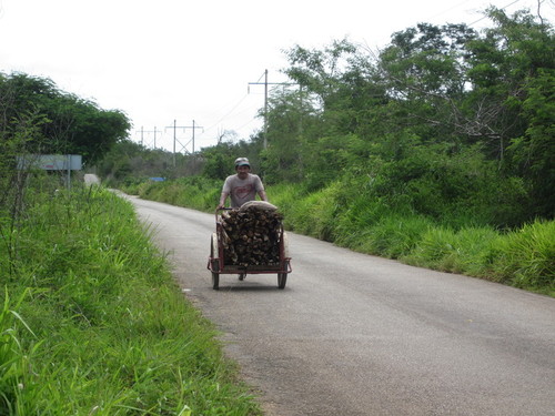 Tixcuytun Man and Cart with Wood